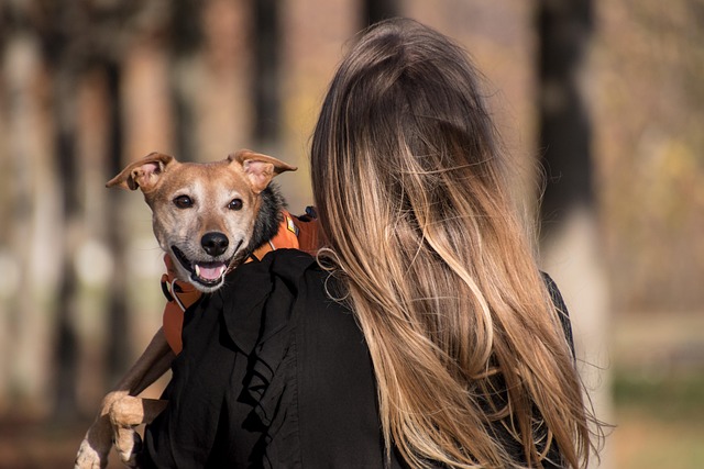 Owner giving a treat to a dog, representing holistic wellness programs for nutrition and behavioral support.